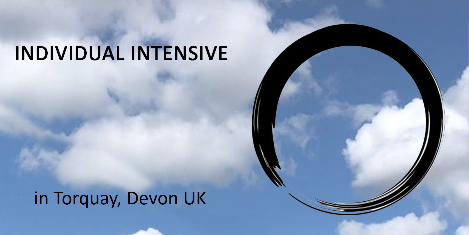 Individual Intensive